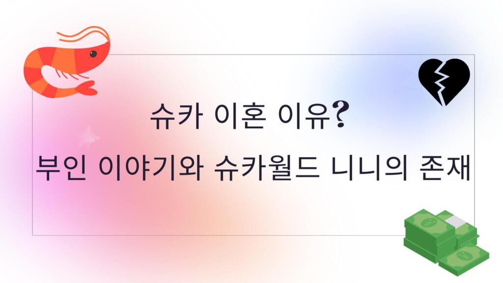 슈카 이혼 이유? 부인 이야기와 슈카월드 니니의 존재