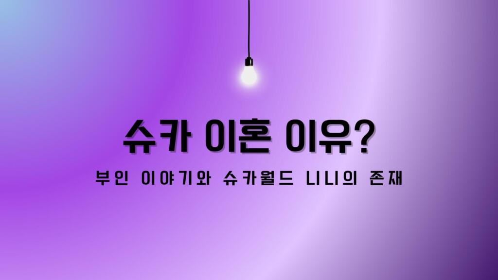 슈카 이혼 이유? 부인 이야기와 슈카월드 니니의 존재